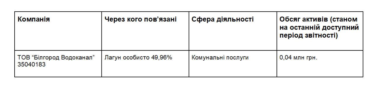 Как Николай Лагун обходит санкции. Экс-банкир продолжает выводить активы через подставных лиц фото 1